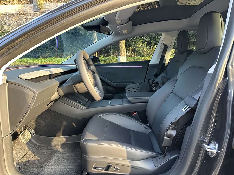 Tesla Model 3 2024 car image #5