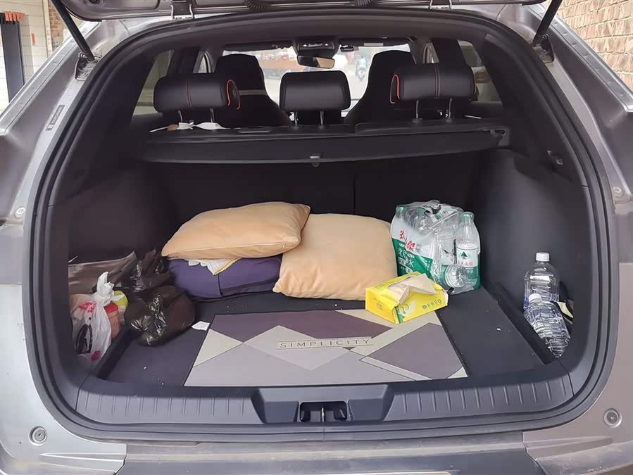 BYD Song Plus 2021 #5 BYD Song Plus 2021 car image #5