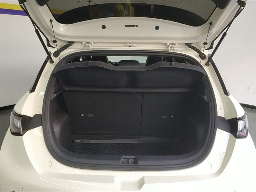 BYD Dolphin 2024 imagem de carro #5