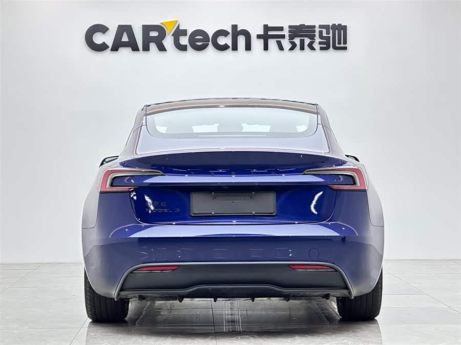 Tesla Model 3 2020 car image #5