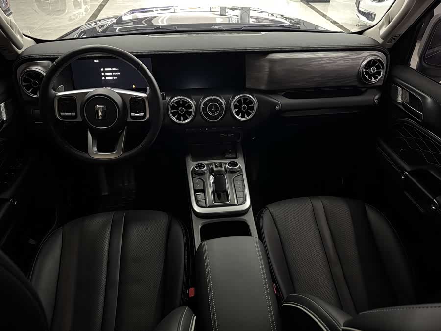 Tank 300 2024 car image #5