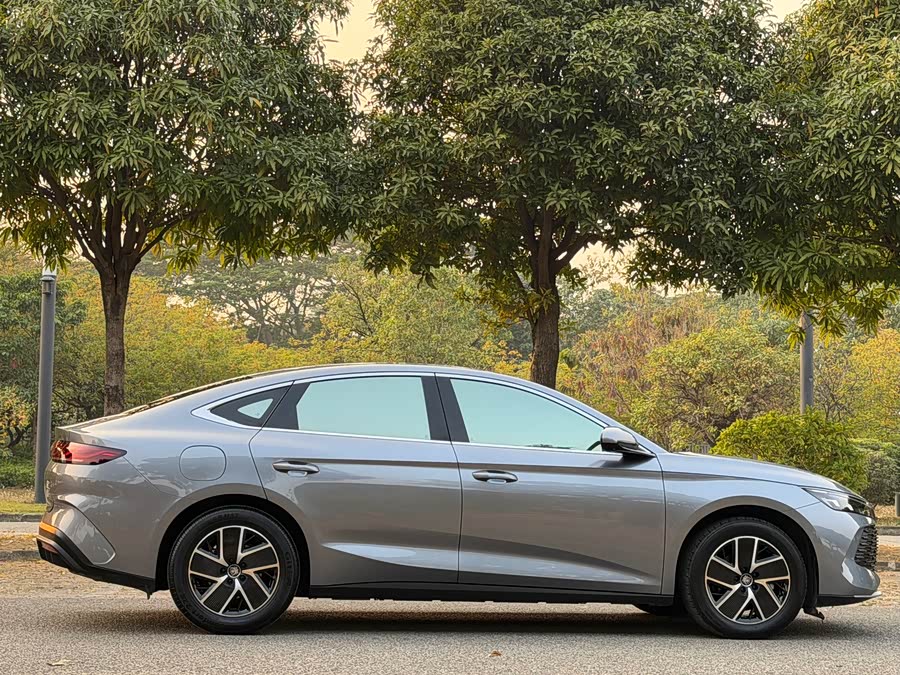 BYD Qin L 2024 car image #5