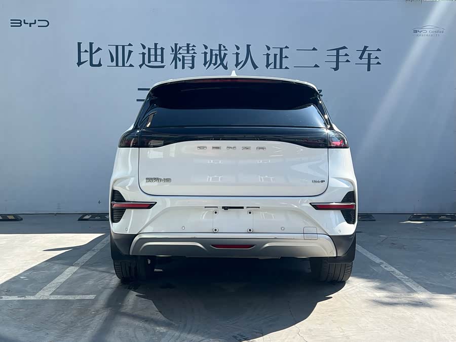 Denza N8 2023 car image #5