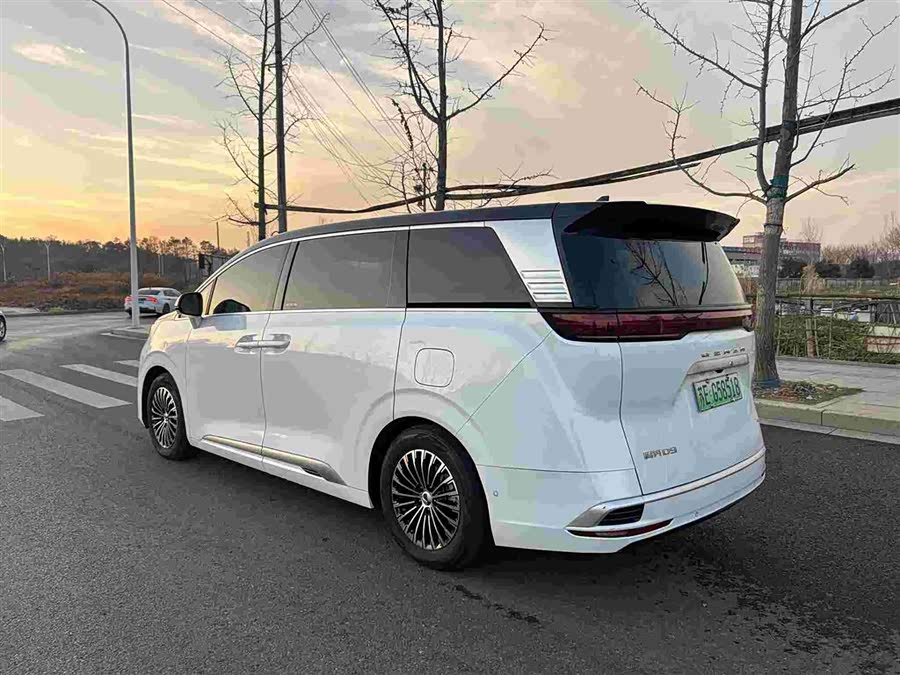 Denza D9 2023 immagine di auto #5