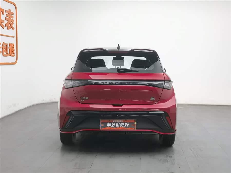 BYD Dolphin 2024 immagine di auto #5