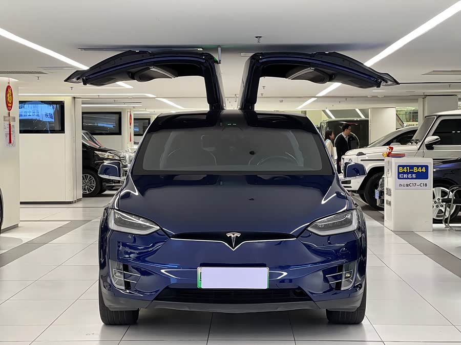 Tesla Model X 2017 car image #5