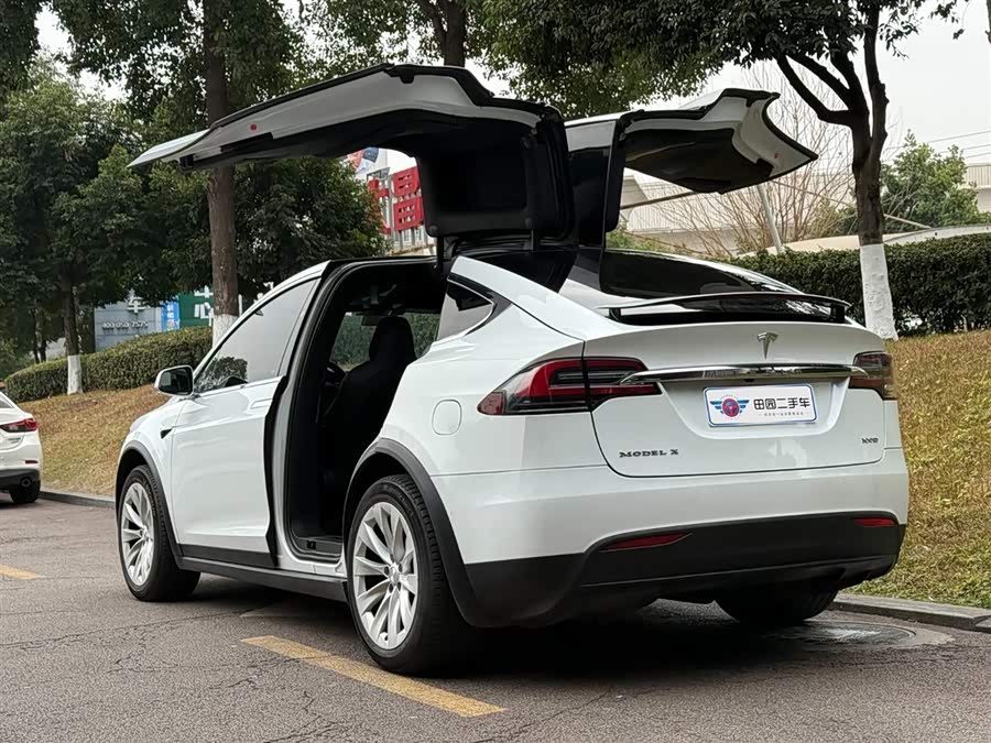 Tesla Model X 2019 car image #5