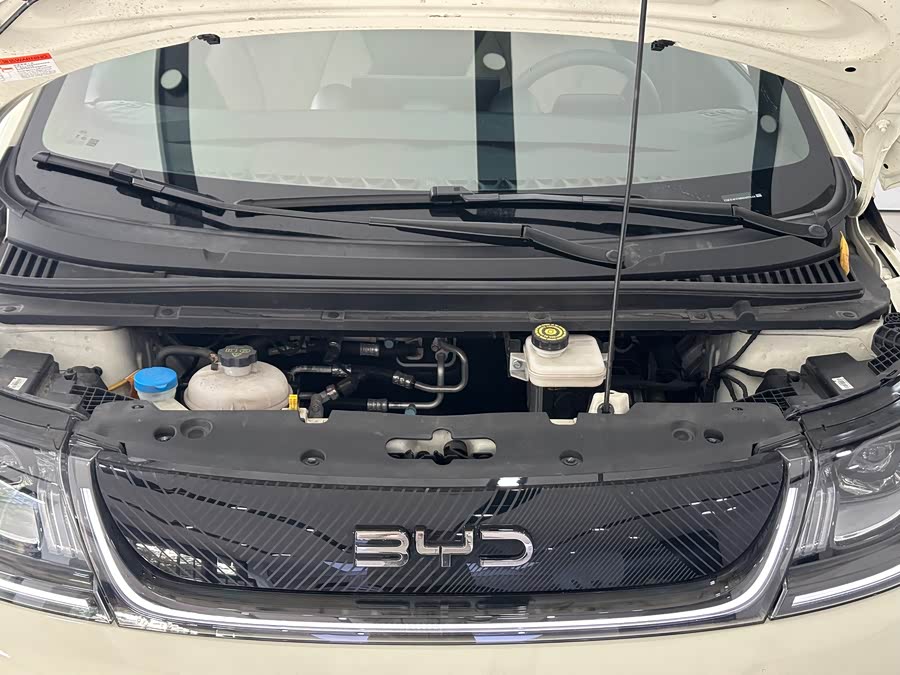 BYD Dolphin 2024 immagine di auto #5