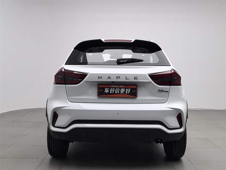 睿蓝汽车 睿蓝汽车X3 PRO 2023 汽车图片 #5