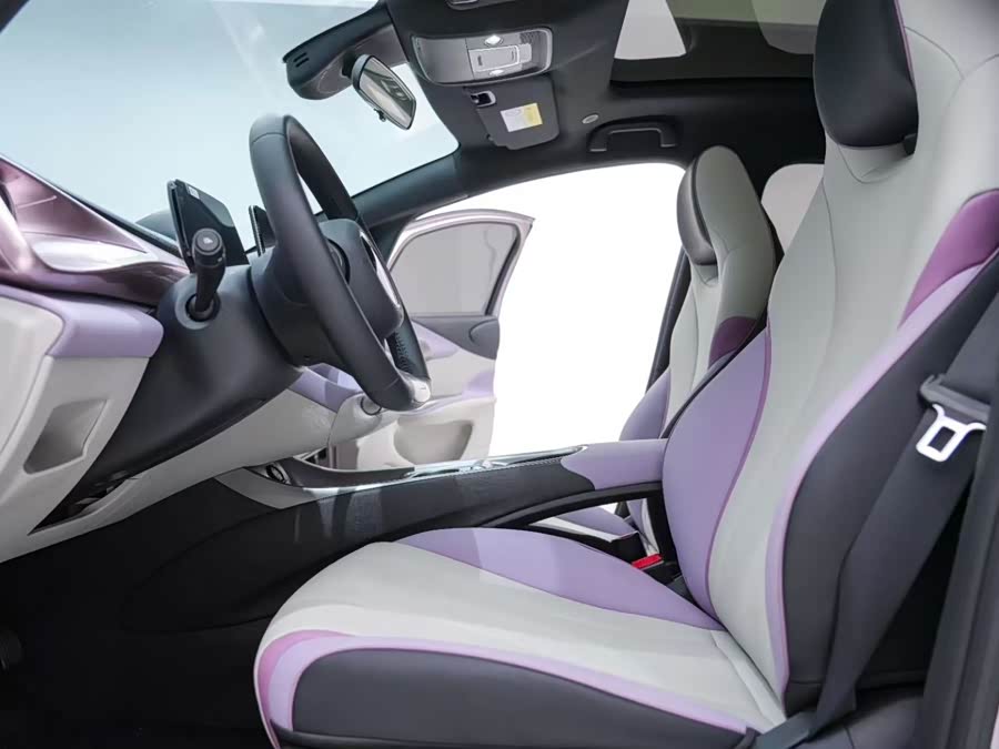 BYD Dolphin 2023 immagine di auto #5