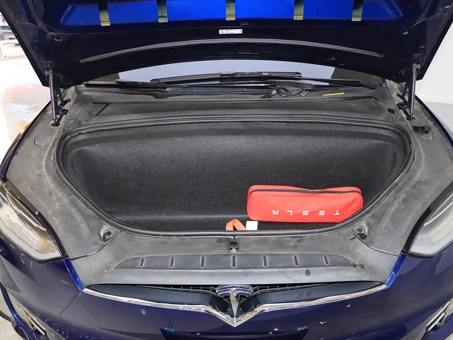 Tesla Model X 2019 immagine di auto #5