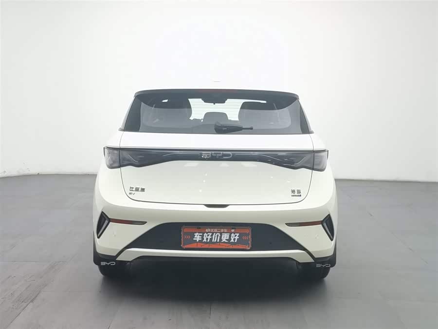 BYD Dolphin 2025 car image #5