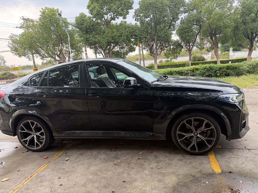 BMW X6 2009 immagine di auto #5