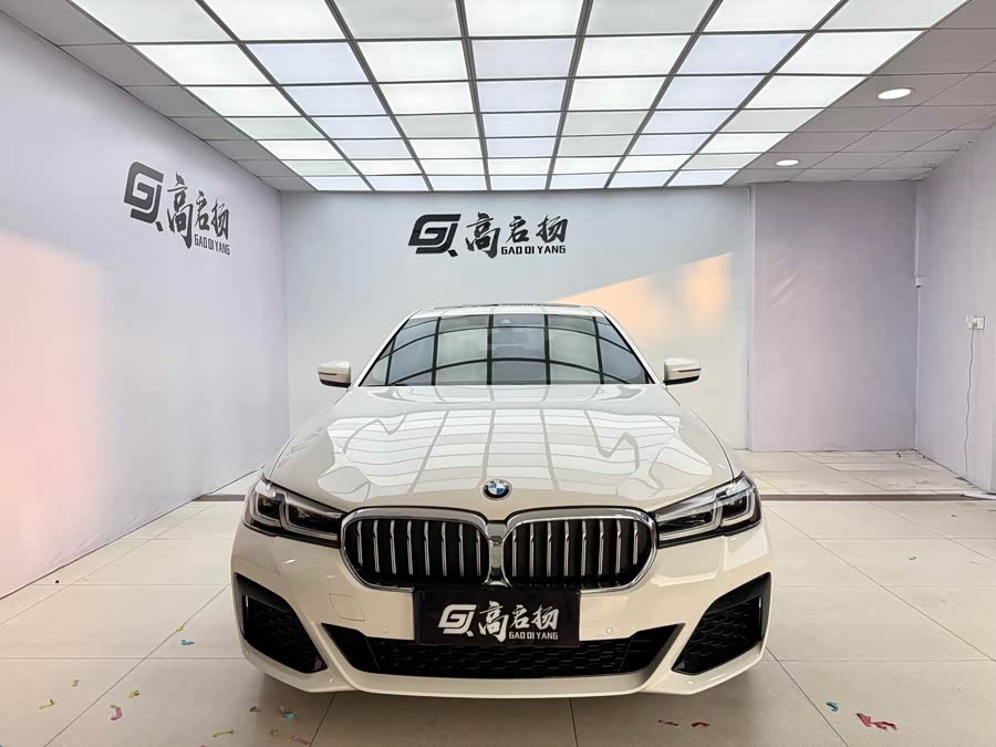 BMW 5 Series (Imported) 2021 car image #5