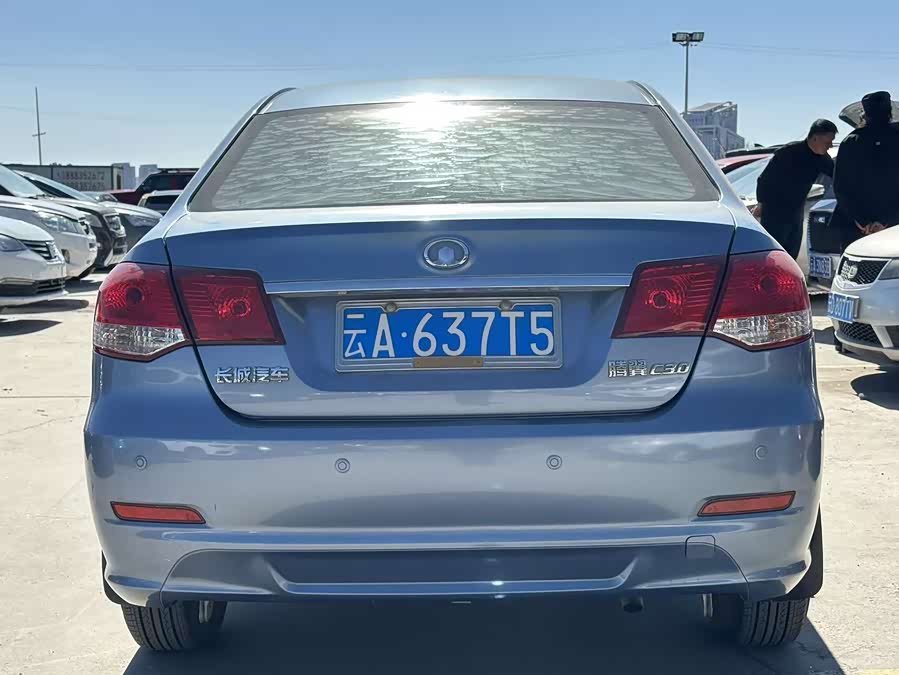 Great Wall C30 2010 car image #5