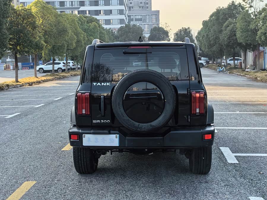 Tank 300 2023 #5 Tank 300 2023 car image #5