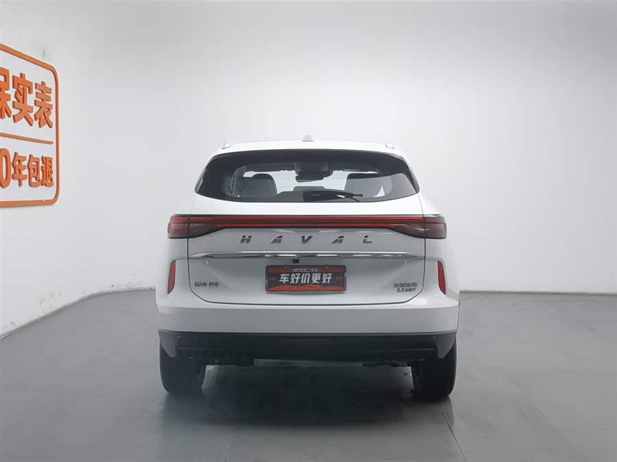 Haval H6 2022 car image #5