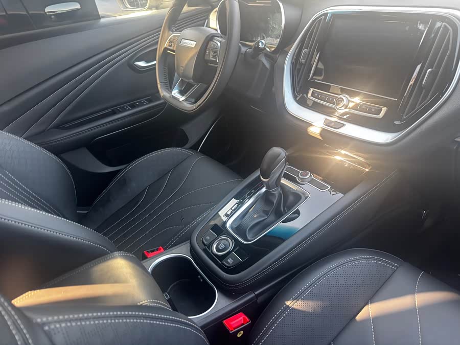 X70M 2019 car image #5
