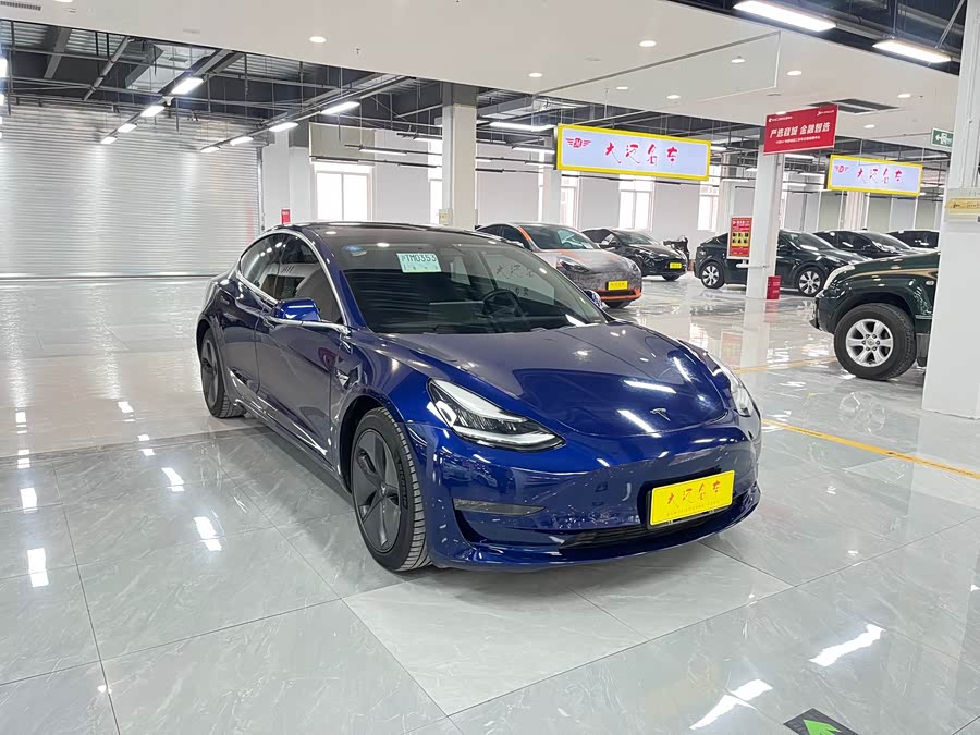 特斯拉 Model 3(进口) 2019 汽车图片 #5