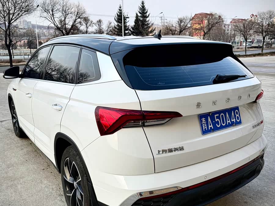 Skoda Kamiq 2022 imagem de carro #5