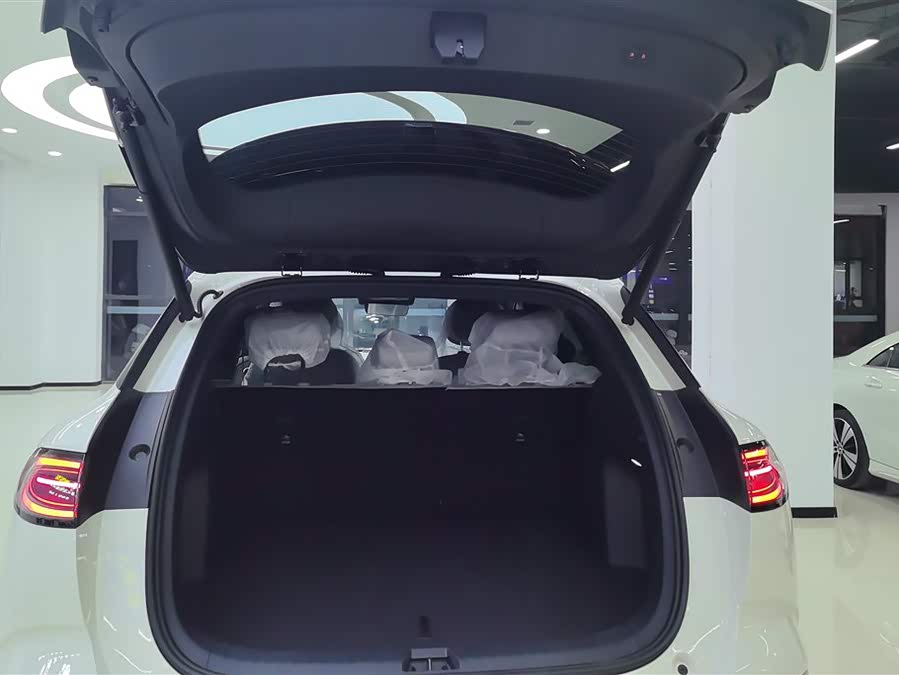 BYD Sea Lion 06 New Energy 2025 car image #5