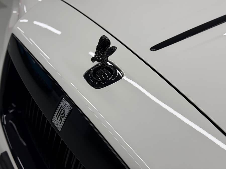 Denza Wraith 2017 #5 Denza Wraith 2017 car image #5
