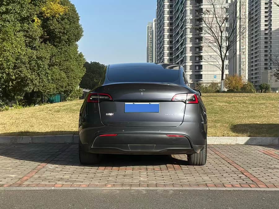 Tesla Model Y 2021 #5 Tesla Model Y 2021 car image #5