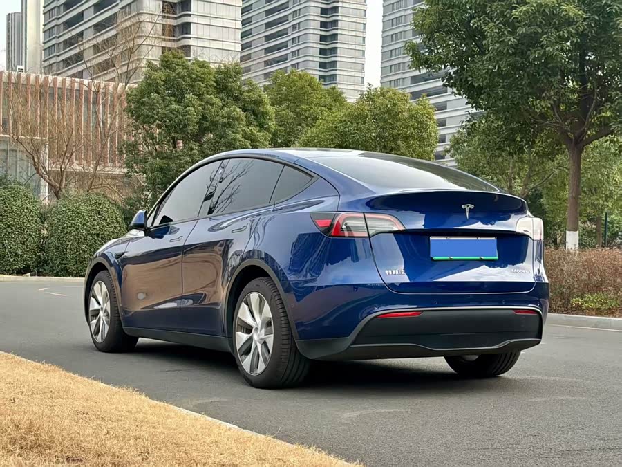 Tesla Model Y 2021 car image #5
