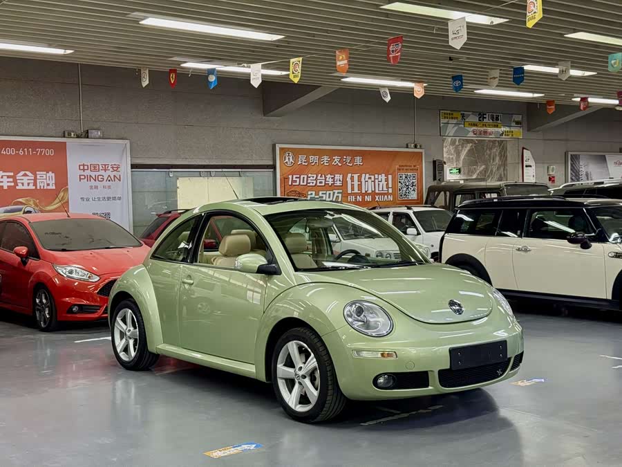 Volkswagen Beetle 2008 immagine di auto #5