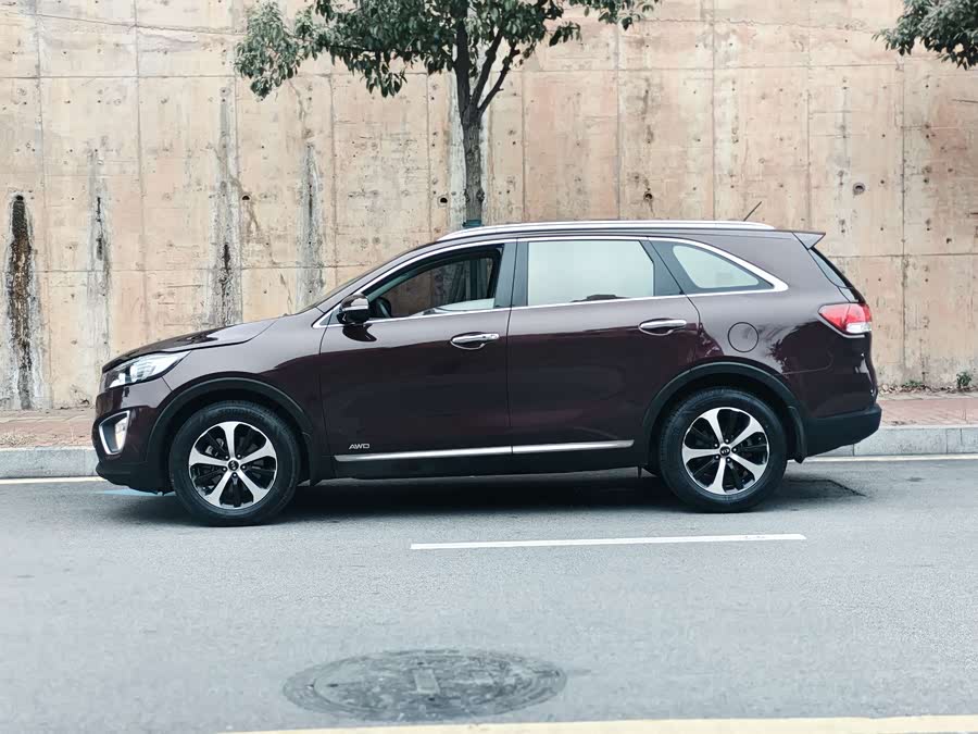 Kia Sorento 2016 car image #5