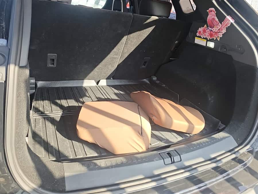 Jetour Dashing 2023 immagine di auto #5