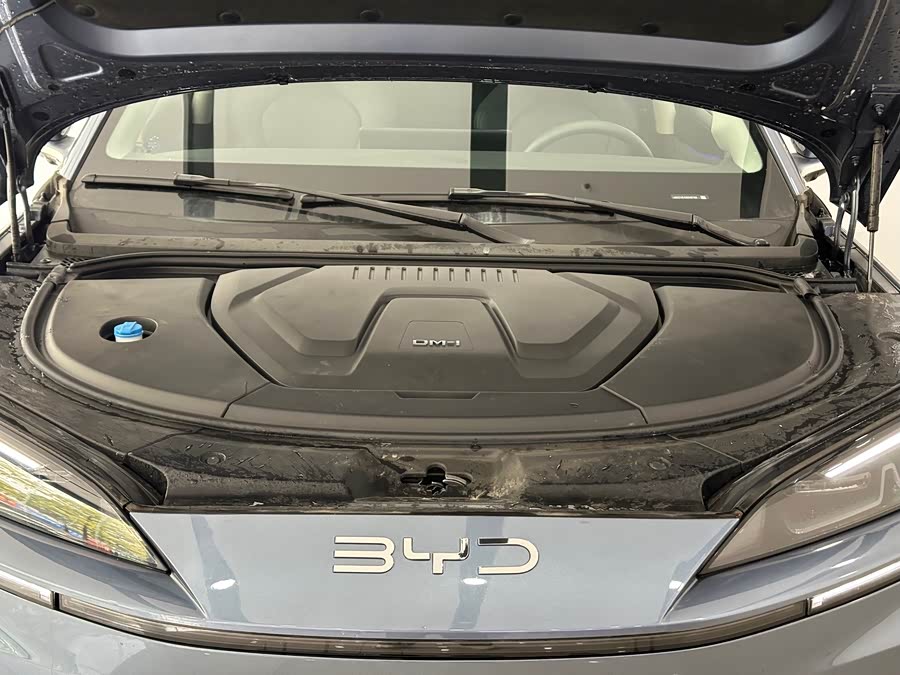 BYD Sea Lion 07 DM-i 2025 car image #5