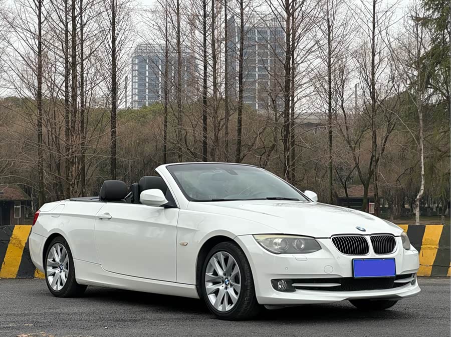 BMW 3 Series (Imported) 2010 car image #5