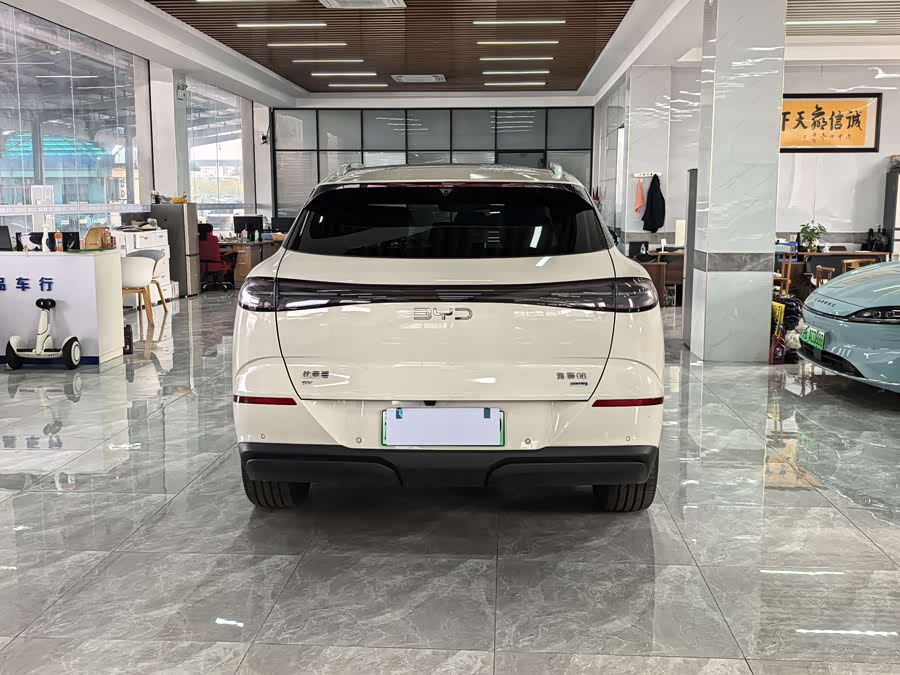 BYD Sea Lion 06 New Energy 2025 car image #5