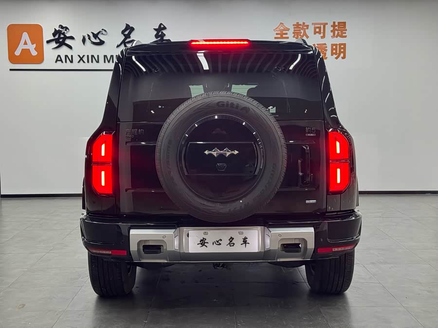 FangChengBao Leopard 5 2025 car image #5