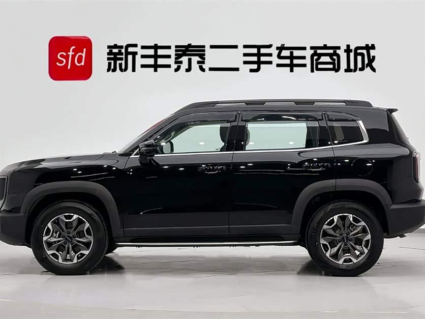 Haval X Dog / Dargo 2023 car image #5