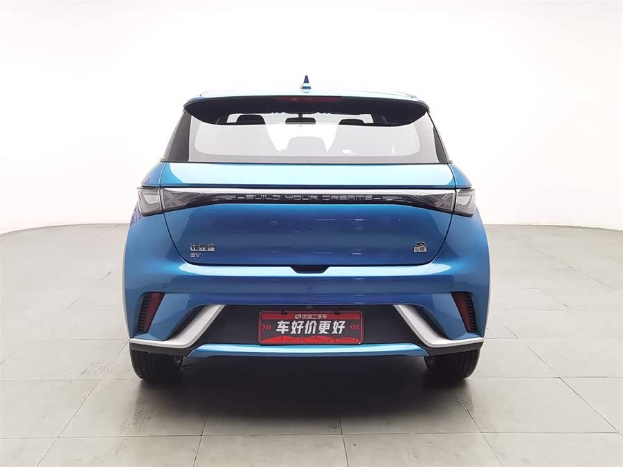 BYD Dolphin 2022 #5 BYD Dolphin 2022 immagine di auto #5