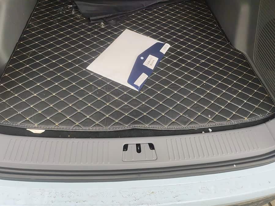 睿蓝汽车 睿蓝7 2023 汽车图片 #5