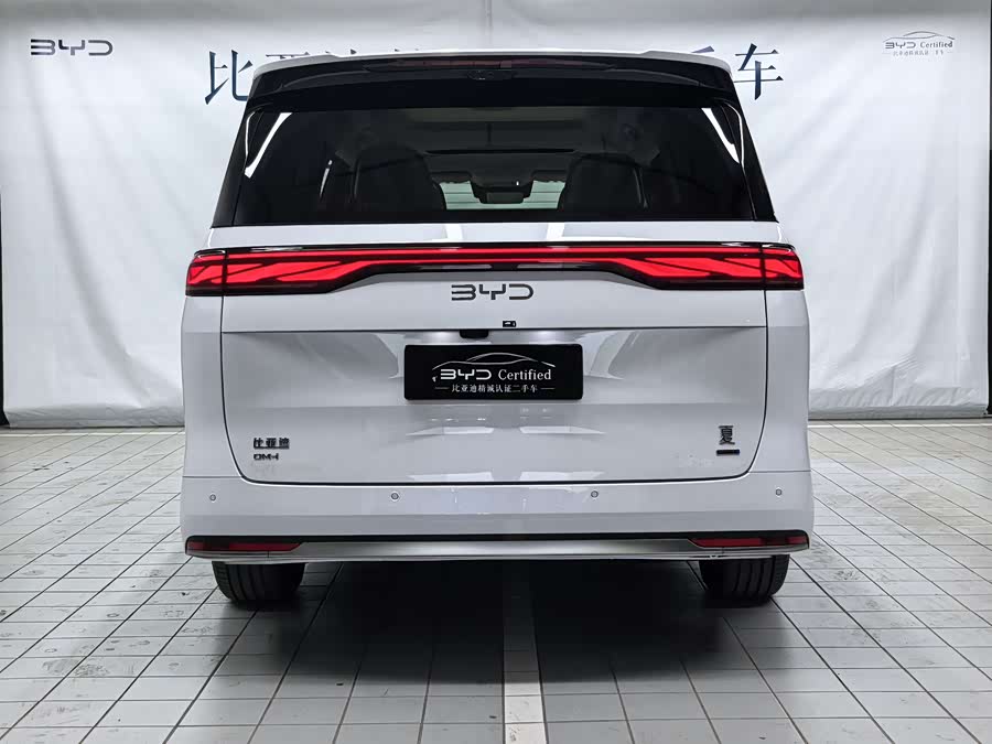 BYD Xia 2024 imagen de coche #5