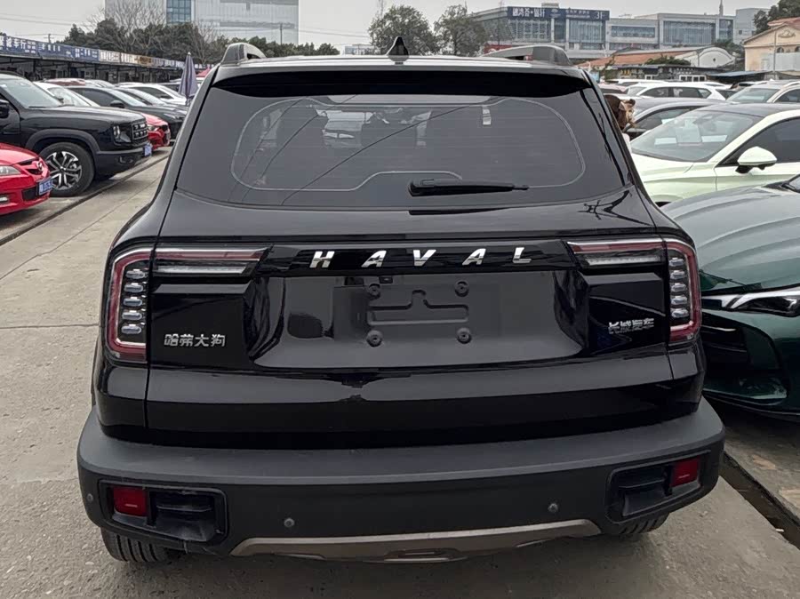 Haval X Dog / Dargo 2020 #5 Haval X Dog / Dargo 2020 car image #5