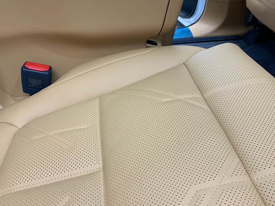 极氪 极氪9X 汽车图片 #5