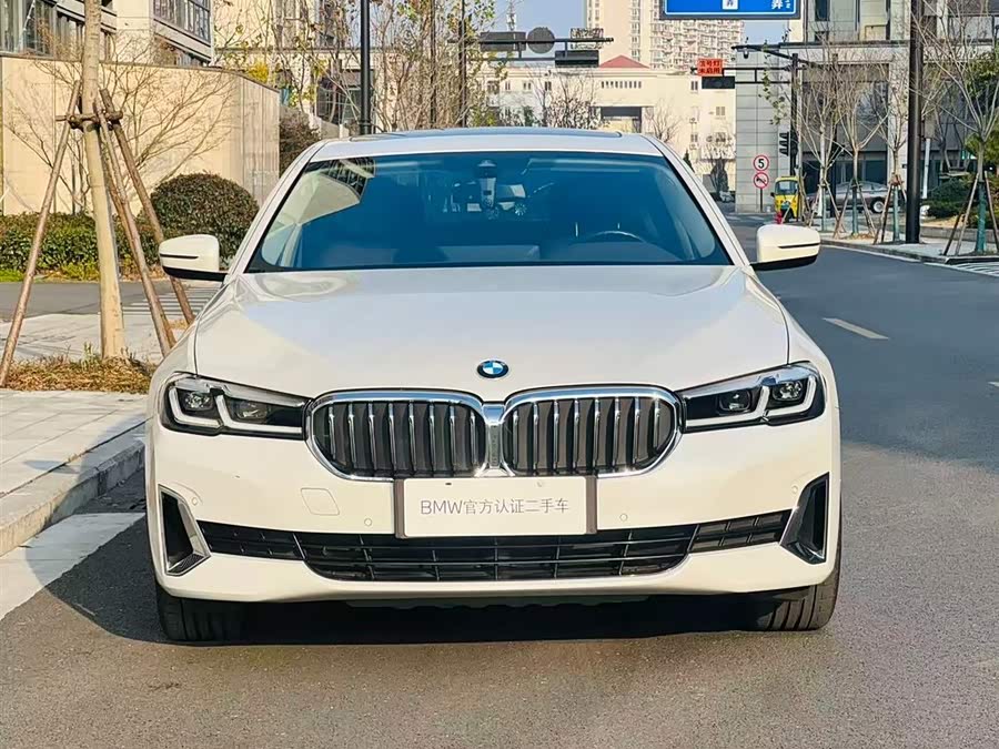 BMW 5 Series New Energy 2021 car image #5