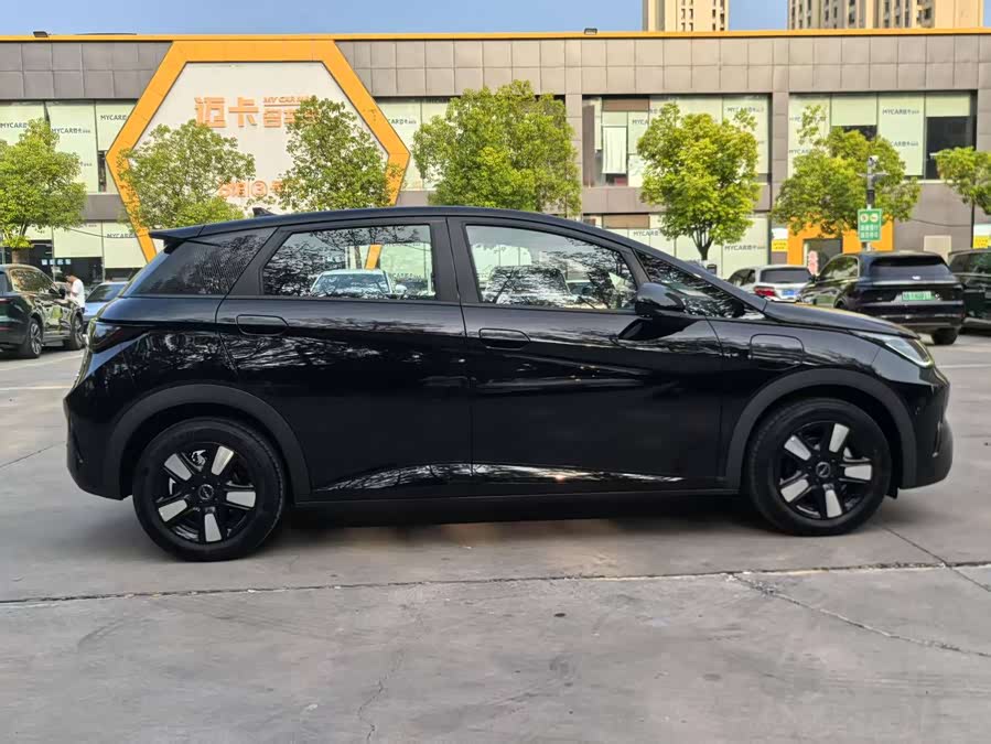 BYD Dolphin 2025 car image #5