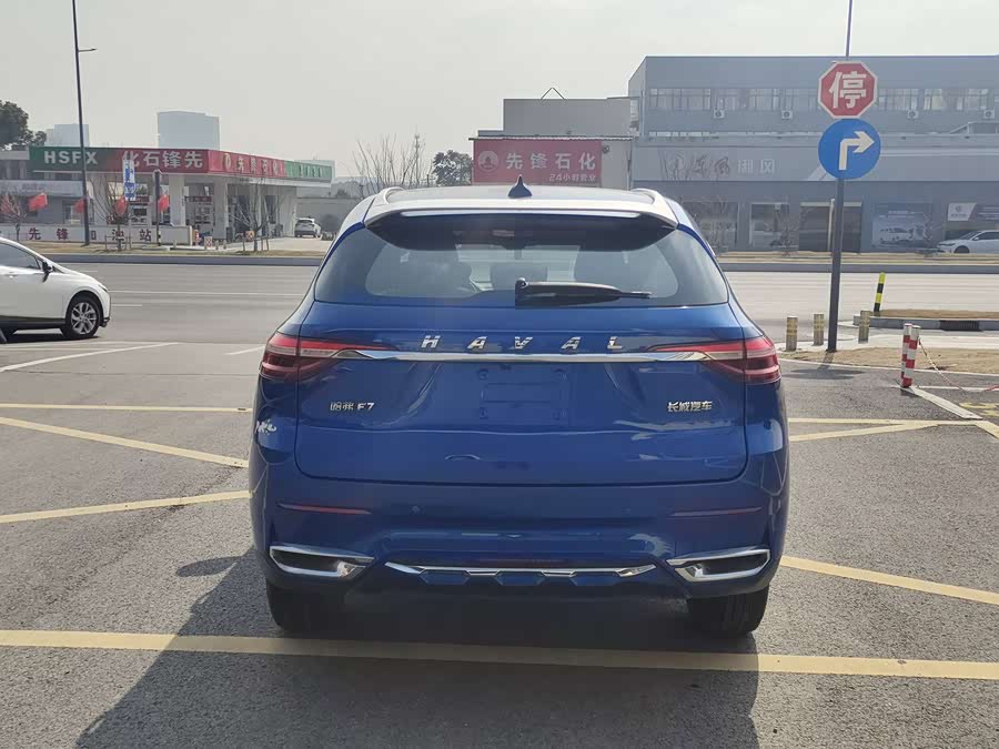 Haval 2019 car image #5