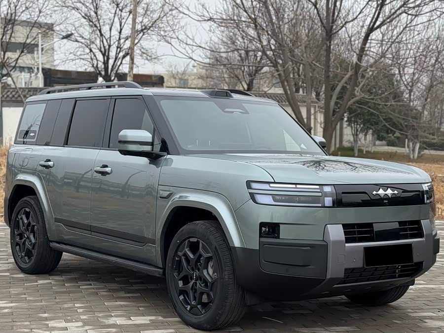 FangChengBao Tiger 7 2025 car image #5