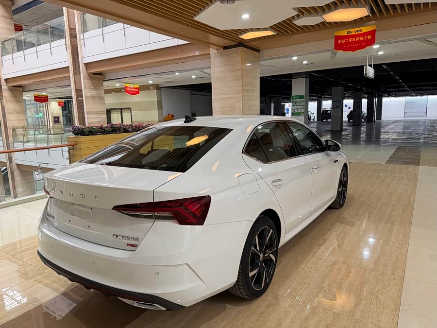 Skoda Octavia 2023 car image #5