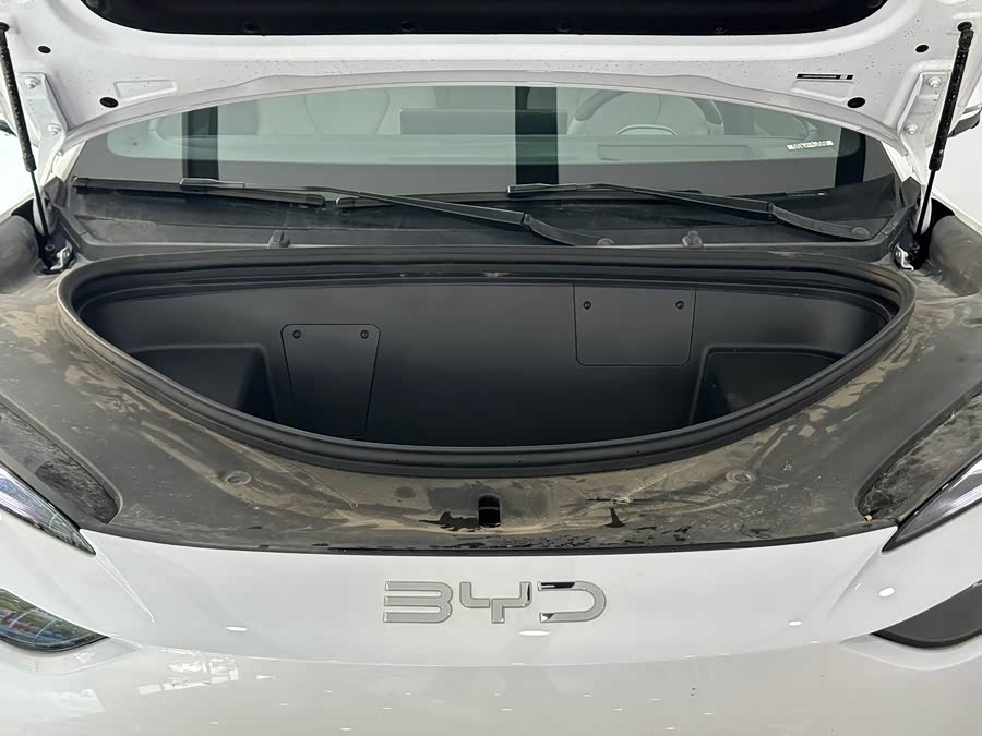 BYD Sea Lion 06 New Energy 2025 car image #5