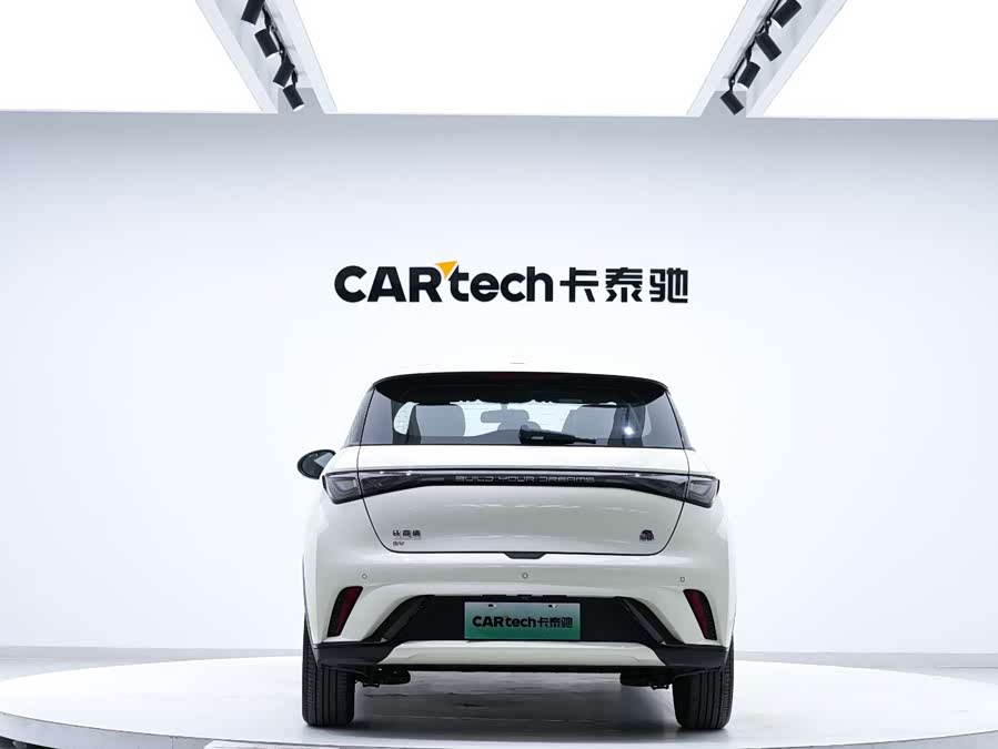 BYD Dolphin 2023 car image #5