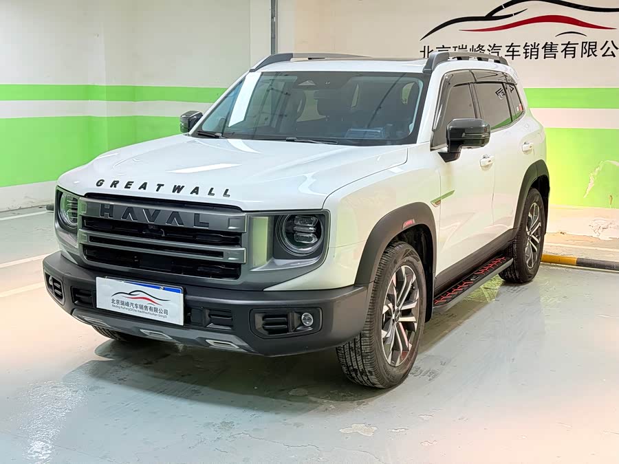 Haval X Dog / Dargo 2024 immagine di auto #5