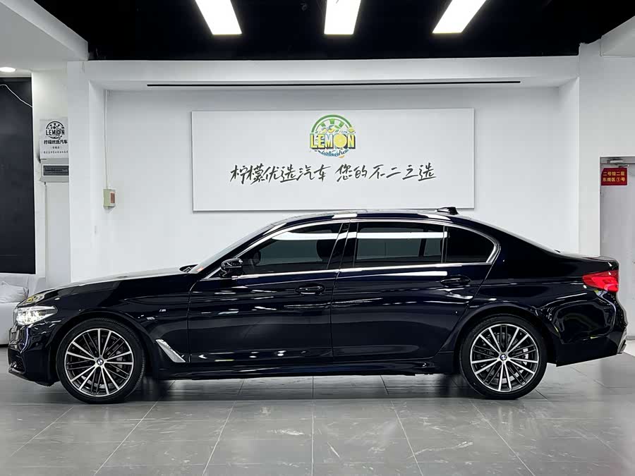 BMW 5 Series 2020 car image #5